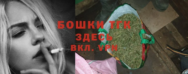 ешки Алексин