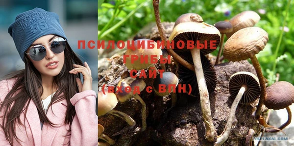 стафф Алзамай
