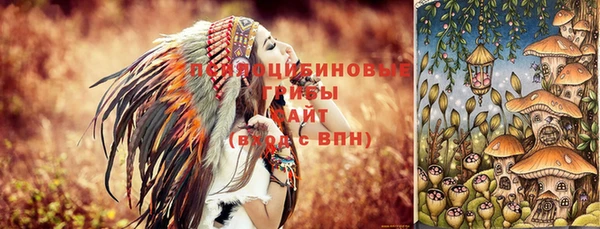 ешки Алексин