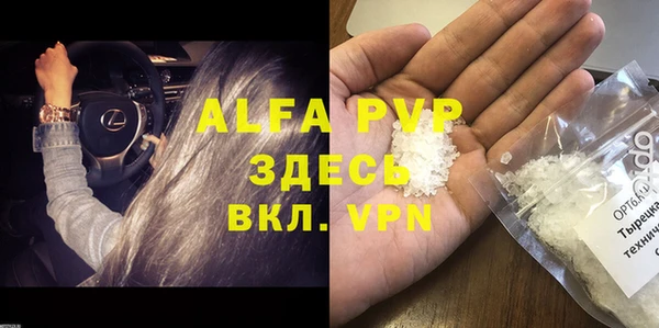 стафф Алзамай
