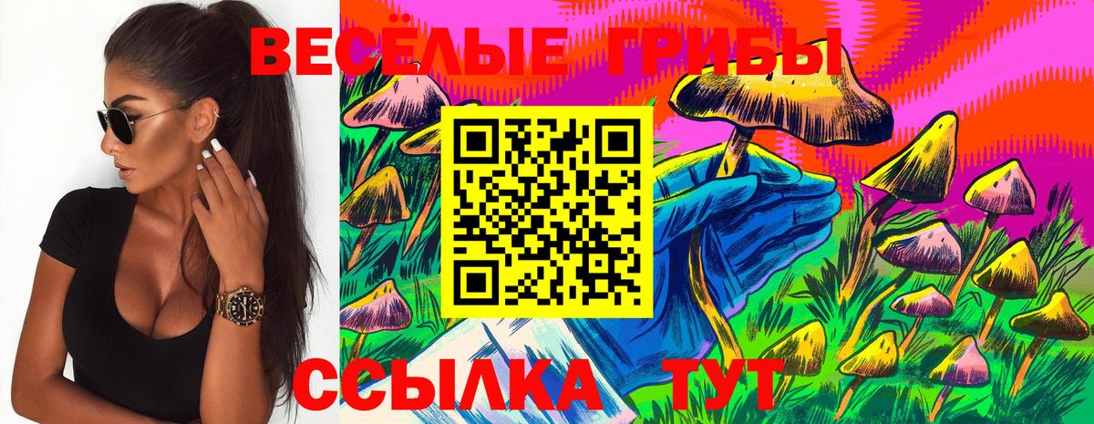 Галлюциногенные грибы Psilocybine cubensis  Вход с VPN  Бирск 