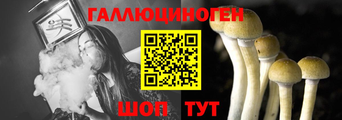 Галлюциногенные грибы ЛСД Бирск
